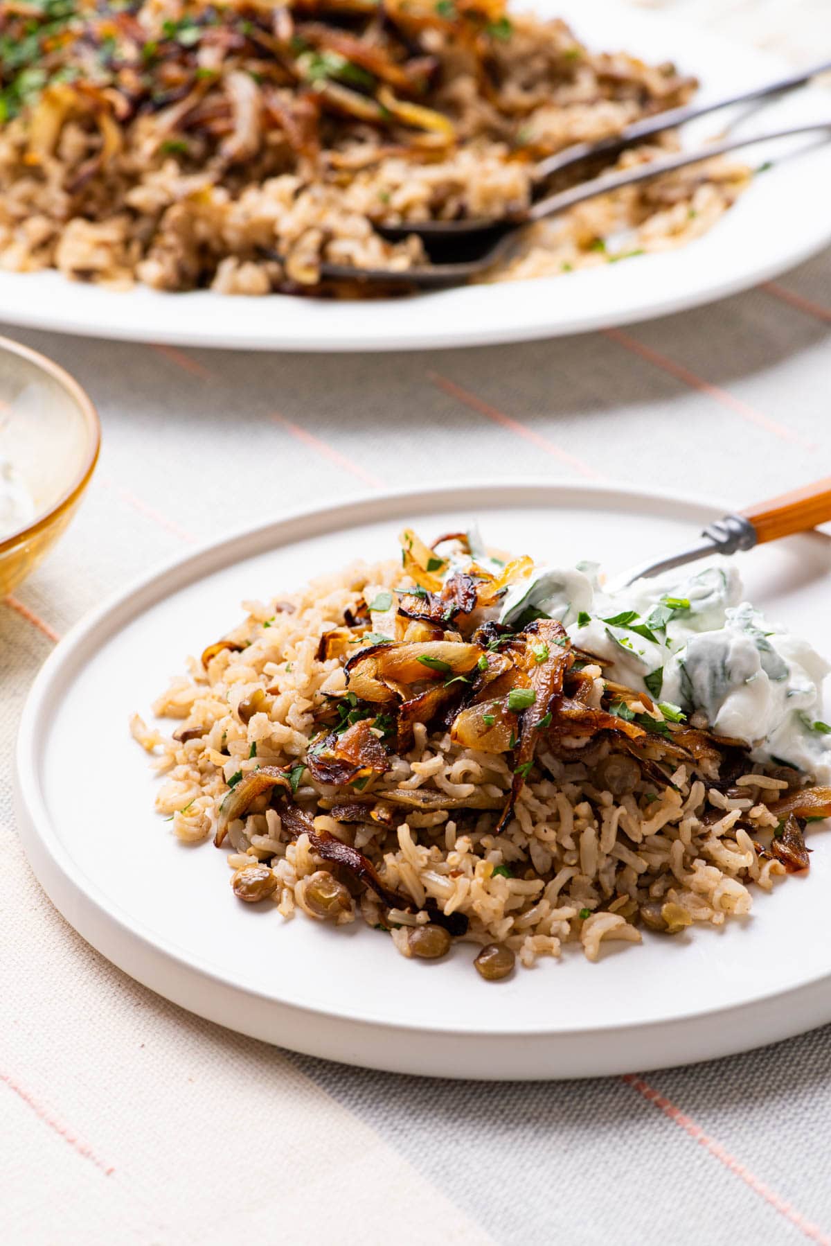 Middle Eastern Mujadara (brown rice and lentils with fried onions) on a blue-rimmed platter next to a wooden bowl of yogurt sauce