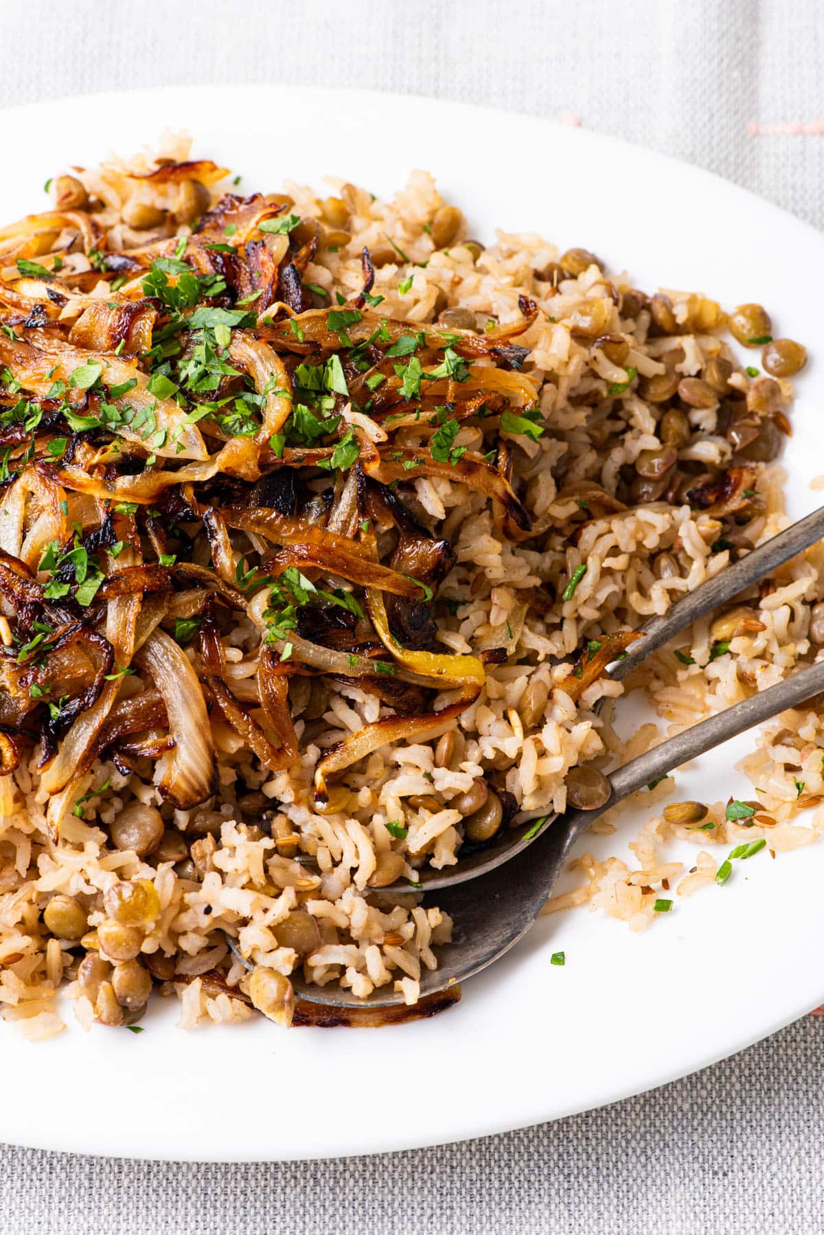 Close-up of Middle Eastern Mujadara (brown rice and lentils with fried onions)