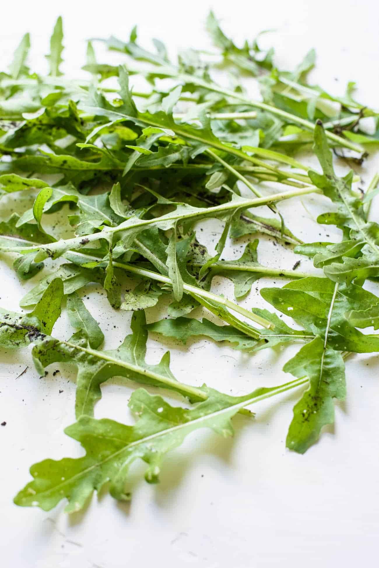 Close-up photo of dirty arugula fresh from the garden