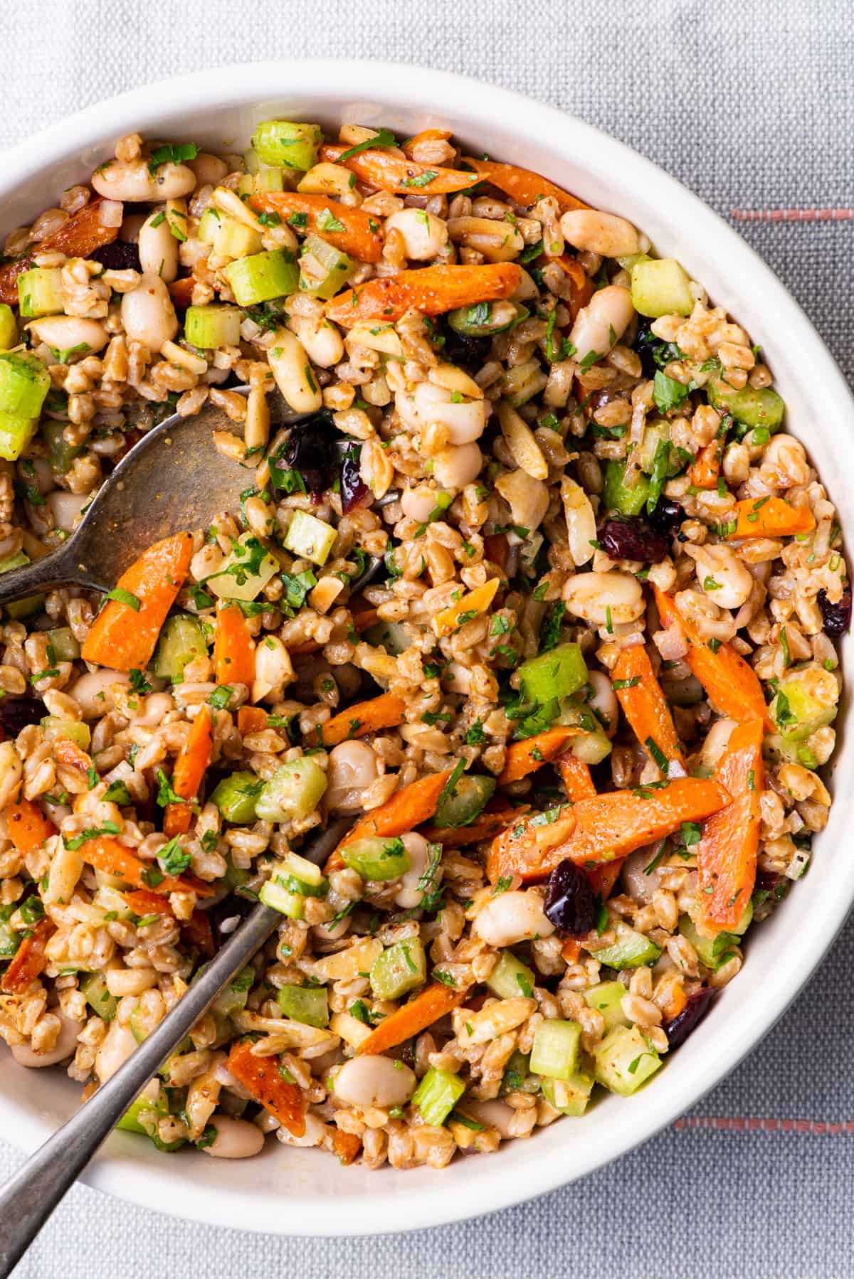 Fall farro salad with carrots, celery, cranberries, and almonds.