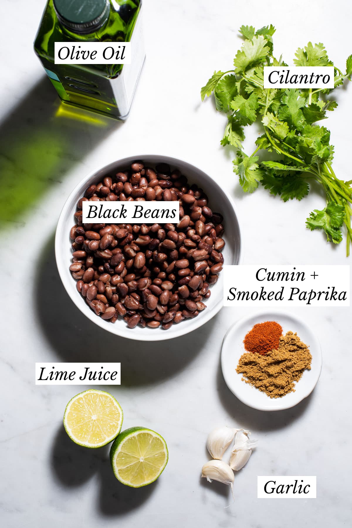 Ingredients gathered on a marble table to make vegan black bean dip.