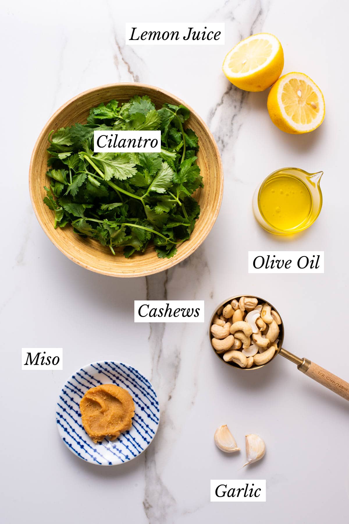 Ingredients to make creamy cilantro sauce with cashews gathered on a marble counter.