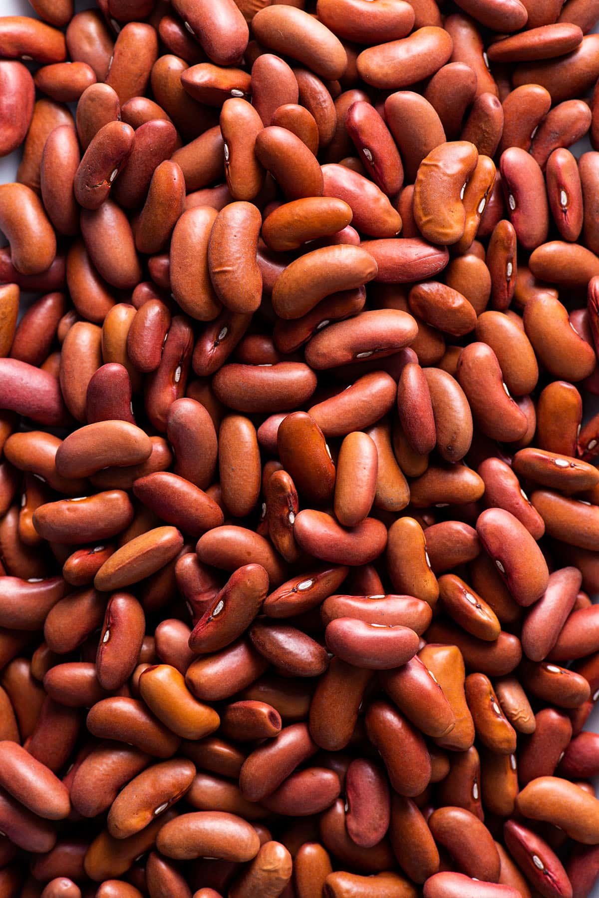 Dried kidney beans.